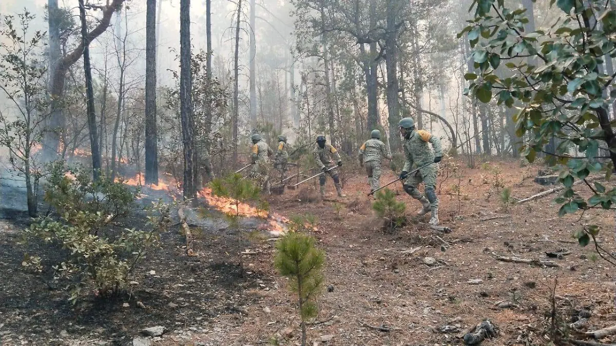 Incendio forestal 1